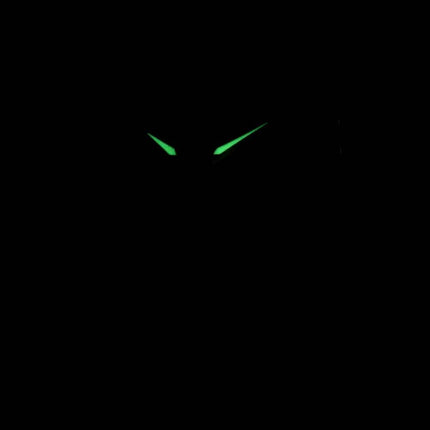 Oris Artelier Päivämäärä 01 733 7721 4051-07 5 21 64FC 01-733-7721-4051-07-5-21-64FC Automaattinen miesten kello