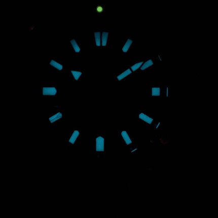 Citizen Eco-Drive BN0201-88L Promaster Diver n 200M Miesten Kello