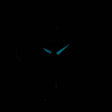 Kansalainen Chandler Eco-Drive analoginen GA1039 53E naisten Kello