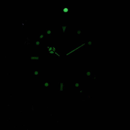 Invicta Pro Diver Professional 29176 automaattinen 200M Miesten Watch