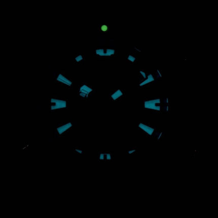 Citizen Aqualand Promaster Diver 200M analoginen digitaalinen JP1093 - 11P Miesten Kello