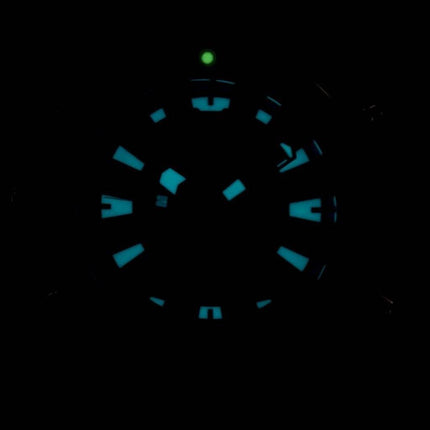 Citizen Aqualand Promaster Diver 200M analoginen digitaalinen JP1099 - 81L Miesten Kello