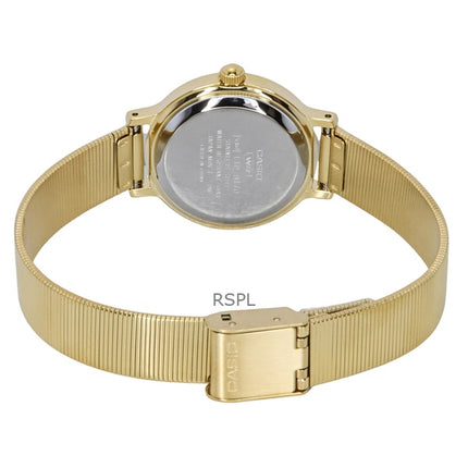 Casio Standard Analoginen kultasävyinen ruostumaton teräs ruskea kellotaulu kvartsi LTP-B170G-5BV naisten kello