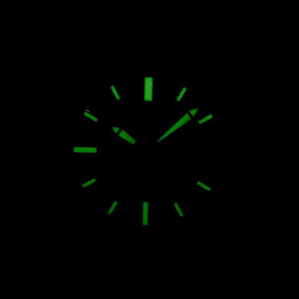 Seiko 5 Automaattinen 21 Jalokivet Japaniin teki SNKN13 SNKN13J1 SNKN13J Miesten Kello