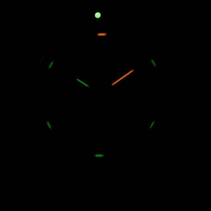 Luminox Leatherback merikilpikonna XS.0337 Quartz miesten kello